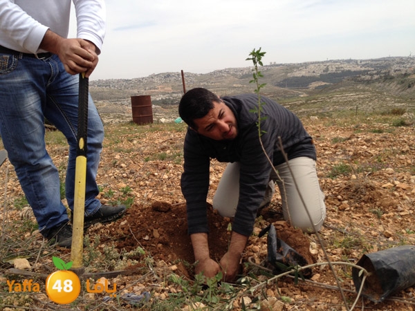 ludandyaffazaitoon (31).JPG